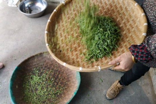 炒青茶為什么便宜，炒青綠茶好喝嗎？