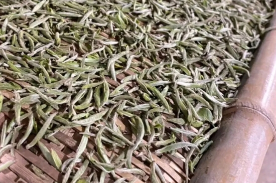過期茶葉的八大妙用，過期的陳茶葉還能干什么用？