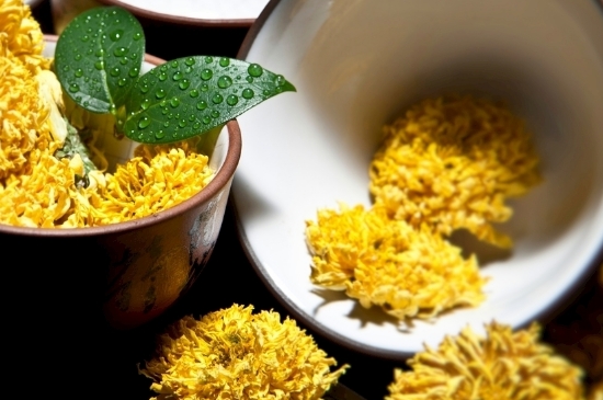 孕婦可以喝菊花茶嗎，菊花對胎兒有致畸作用？