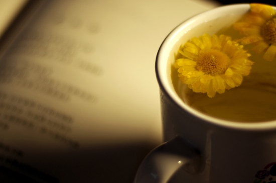 經(jīng)常菊花泡水好嗎，喝菊花茶有什么好處？