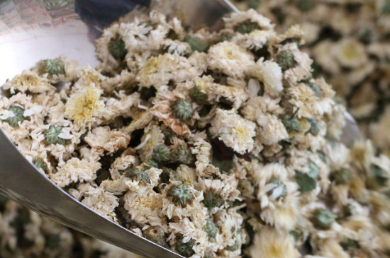菊花茶買小朵還是大朵，泡茶用的小菊花和大菊花哪個好