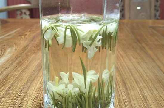 女孩喝茉莉茶的好處，茉莉茶葉的功效與禁忌