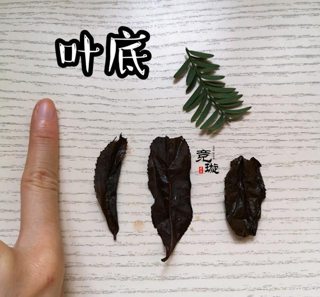 正山小種很細(xì)還很黑亮，正山小種越細(xì)越好嗎