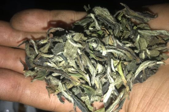 7年壽眉和2年白牡丹哪個好，老白茶壽眉與白牡丹的口感區(qū)別