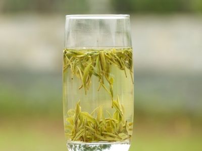 霍山黃芽算是好茶嗎，霍山黃芽屬于什么茶？